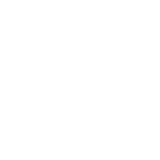 Fast, Reliable Service icon